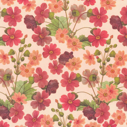 Red Primroses Flower Print Italian Paper ~ Tassotti